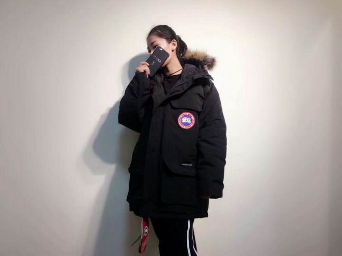 canada goose-007